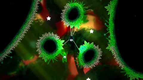 A forest level